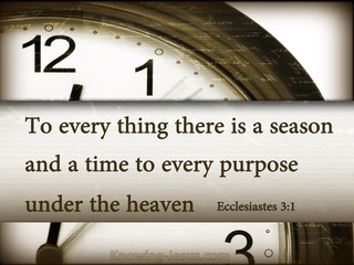 Ecclesiastes 3:1 To Everything There Is A Season (brown)